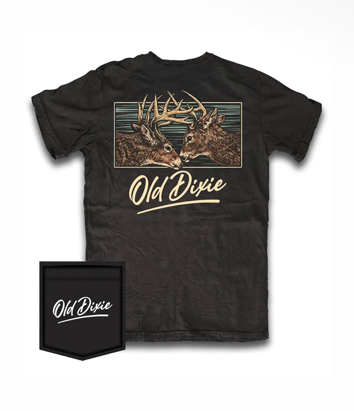Old Dixie fight night