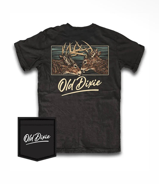 Old Dixie fight night